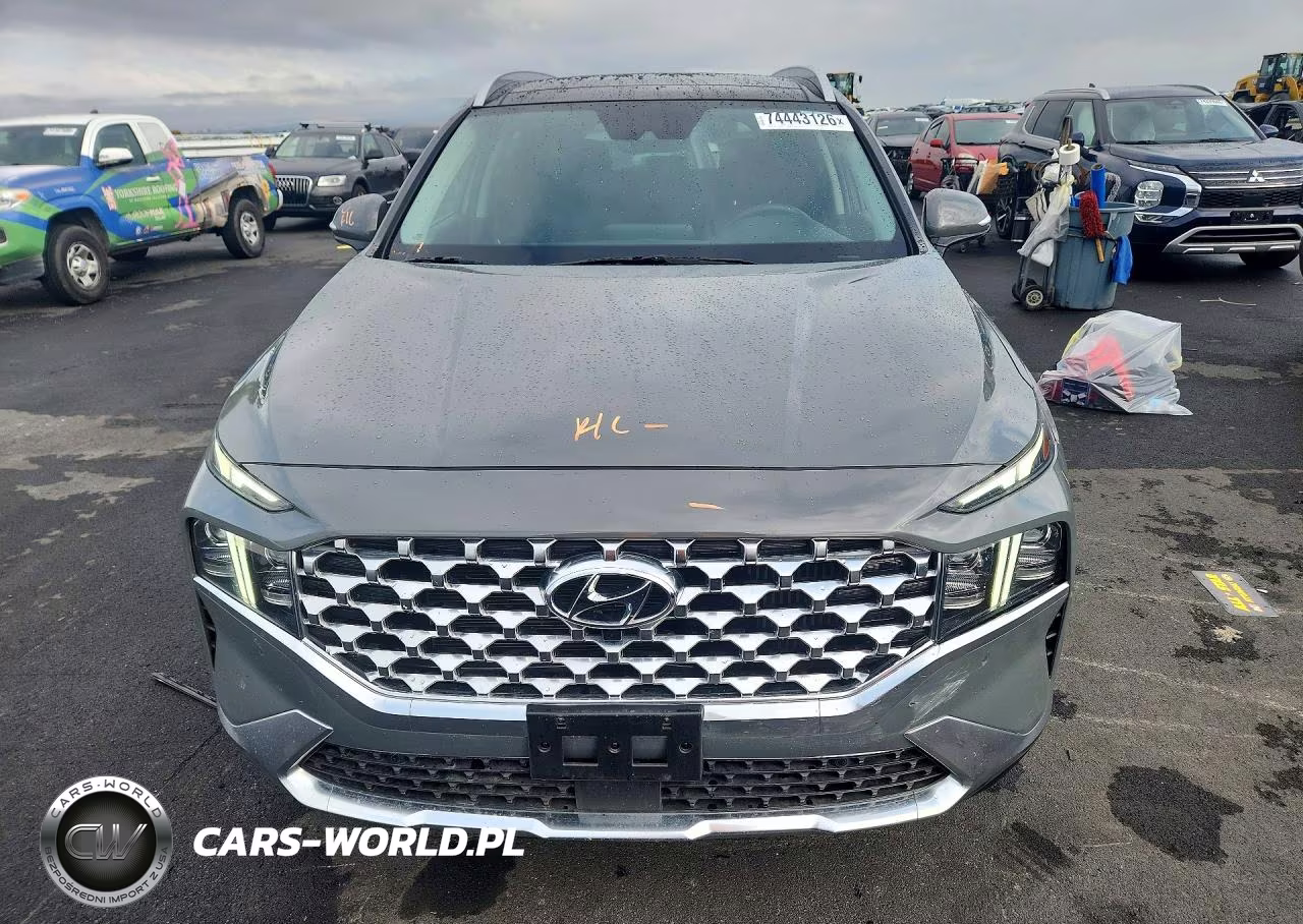 2023 Hyundai Santa Fe Limited VIN:5NMS5DA17PH002413 - 5