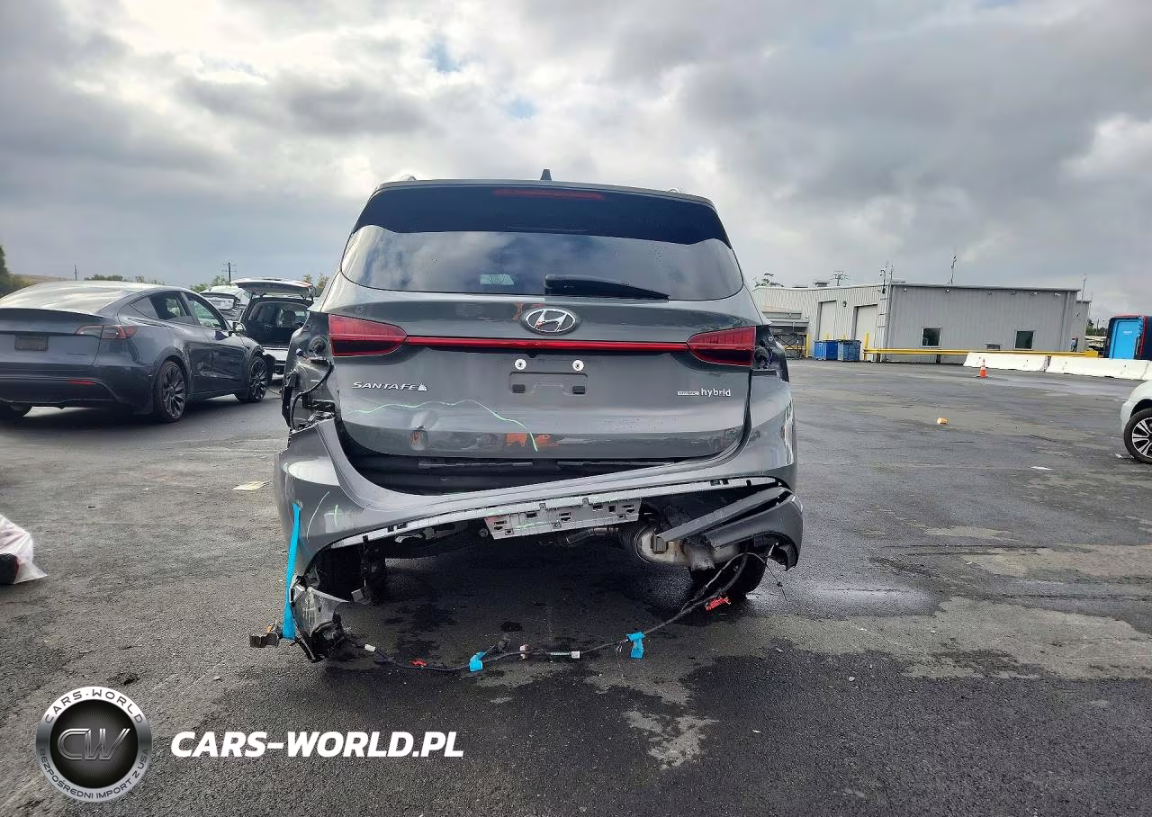 2023 Hyundai Santa Fe Limited VIN:5NMS5DA17PH002413 - 6