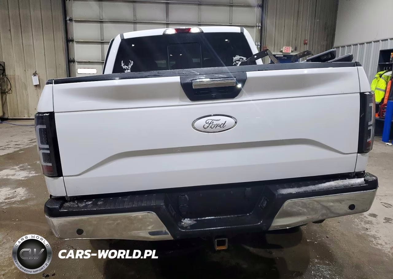 2017 Ford F150 Supercrew VIN:1FTEW1EG4HFB84559 - 6