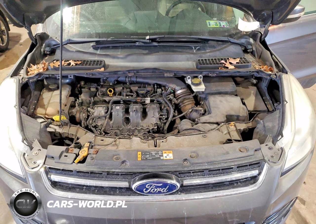 2013 Ford Escape Sel VIN:1FMCU9H97DUD78612 - 12