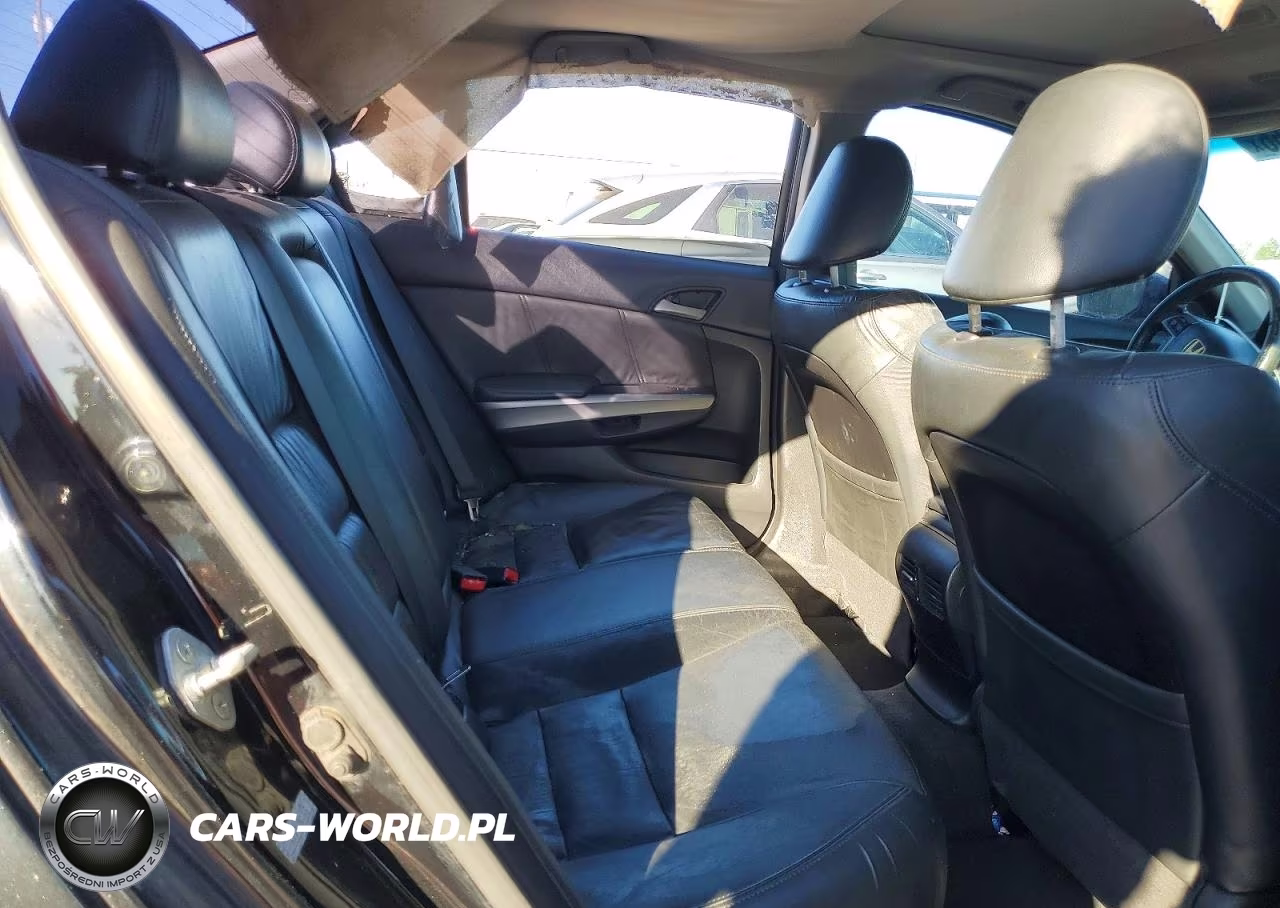 2010 Honda Accord Exl VIN:1HGCP3F8XAA017182 - 10