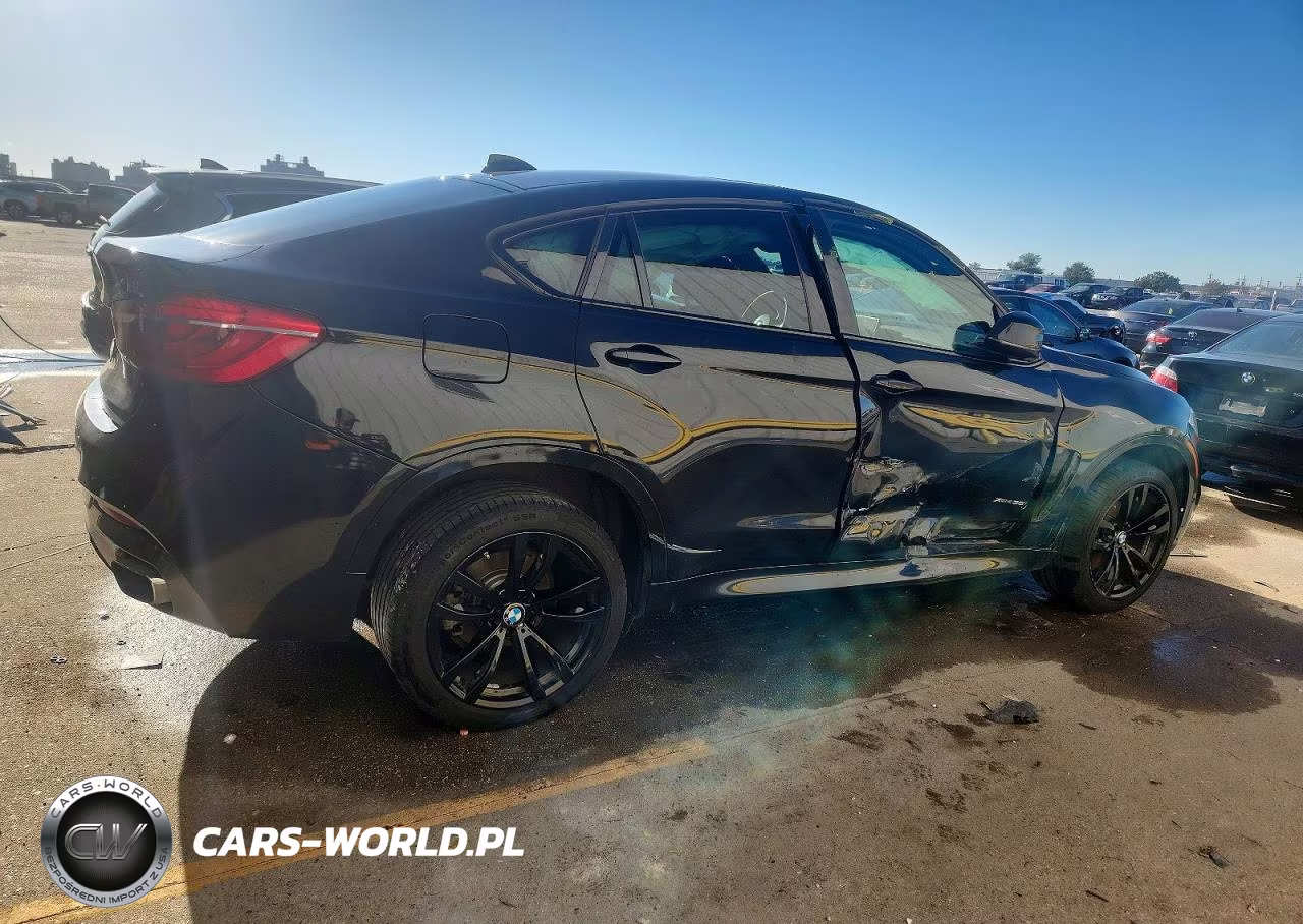 2017 BMW X6 xDrive35I VIN:5UXKU2C56H0N84706 - 3