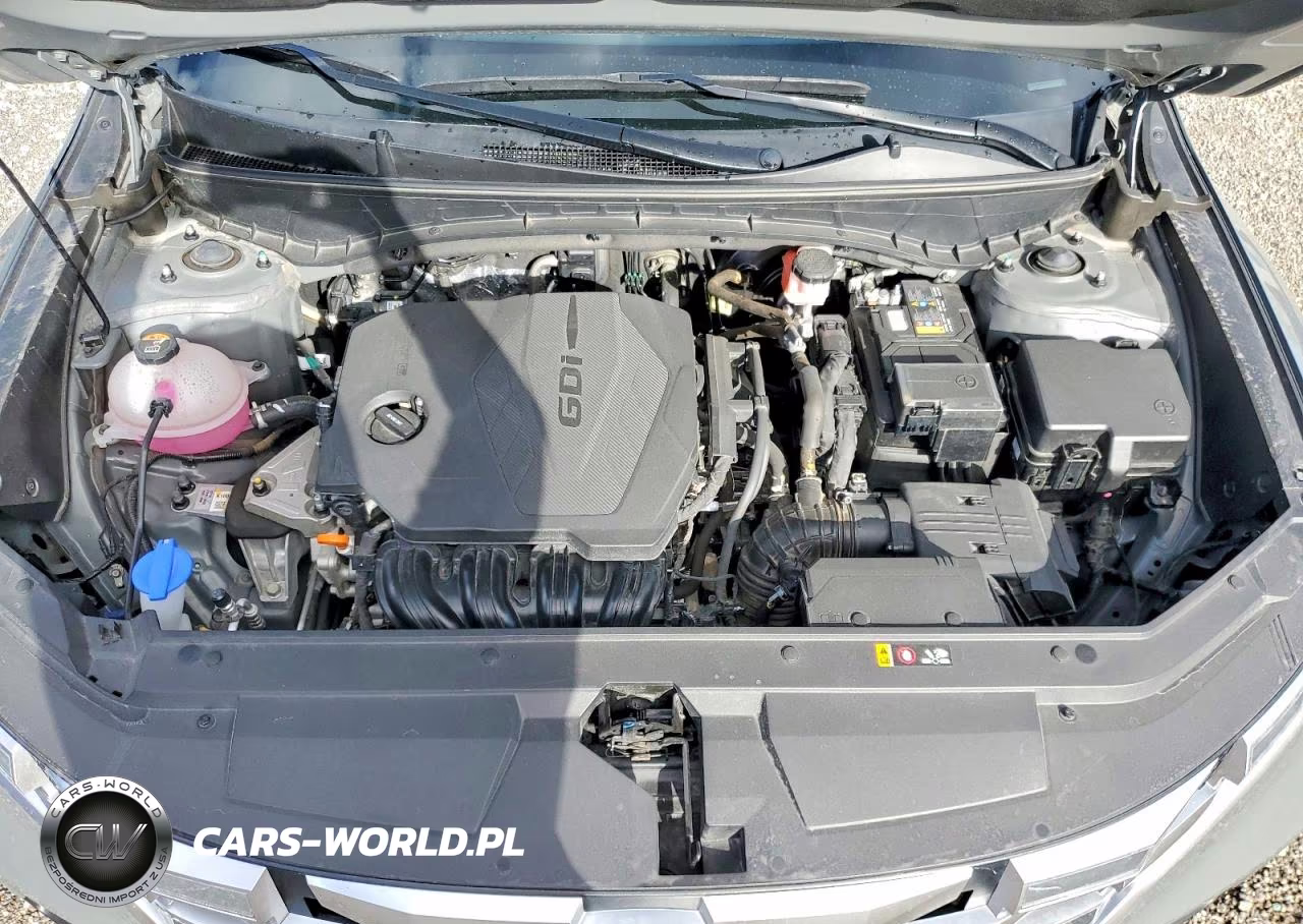 2024 Hyundai Santa Cruz Sel VIN:5NTJBDDEXRH120417 - 11