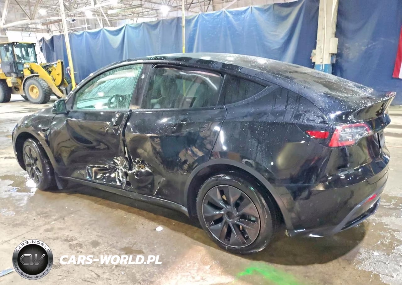 2024 Tesla Model Y VIN:7SAYGDED6RF107413 - 2