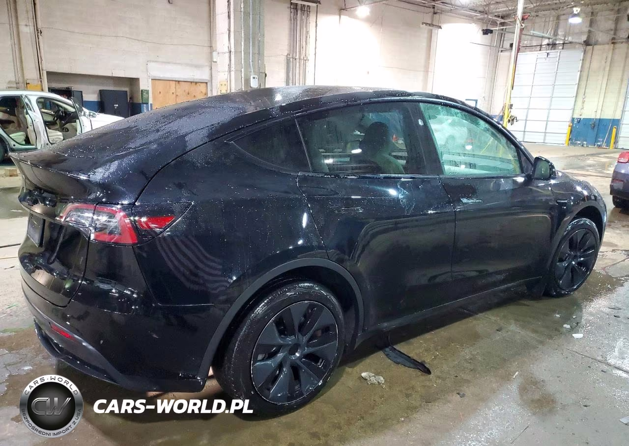 2024 Tesla Model Y VIN:7SAYGDED6RF107413 - 3