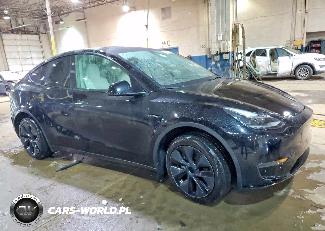 2024 Tesla Model Y VIN:7SAYGDED6RF107413 - 4