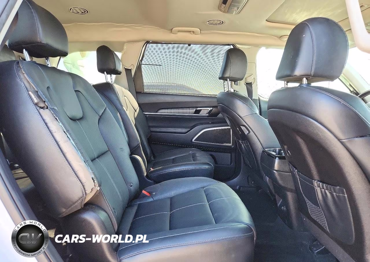 2023 Kia Telluride Ex VIN:5XYP34GC7PG327982 - 11