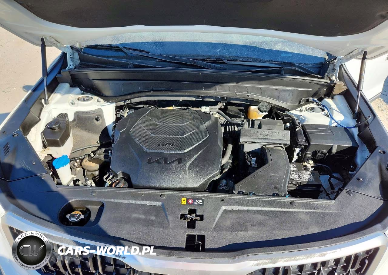 2023 Kia Telluride Ex VIN:5XYP34GC7PG327982 - 12