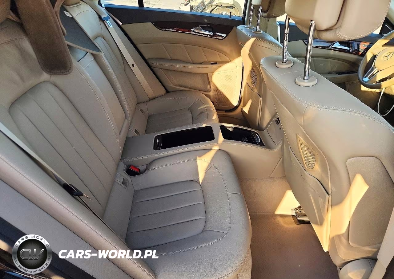 2013 Mercedes-Benz Cls 550 4Matic VIN:WDDLJ9BB4DA075397 - 10