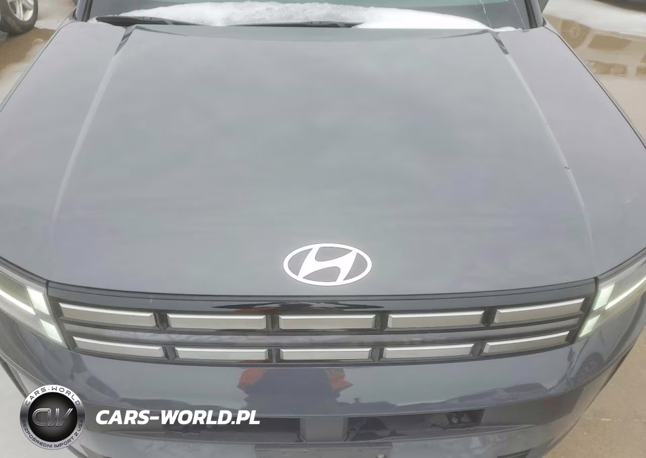 2025 Hyundai Santa Fe Sel VIN:5NMP24G13SH060050 - 12