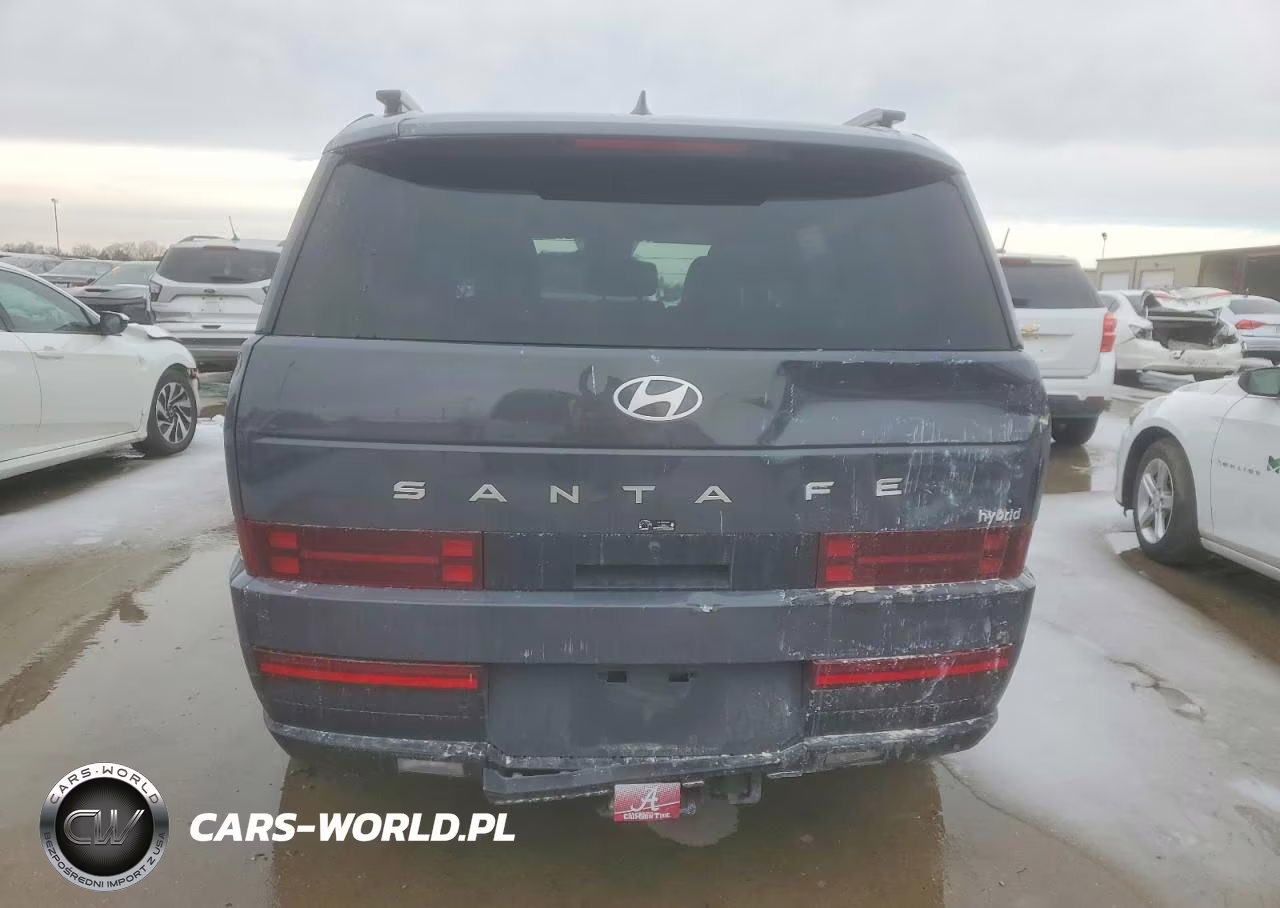 2025 Hyundai Santa Fe Sel VIN:5NMP24G13SH060050 - 6
