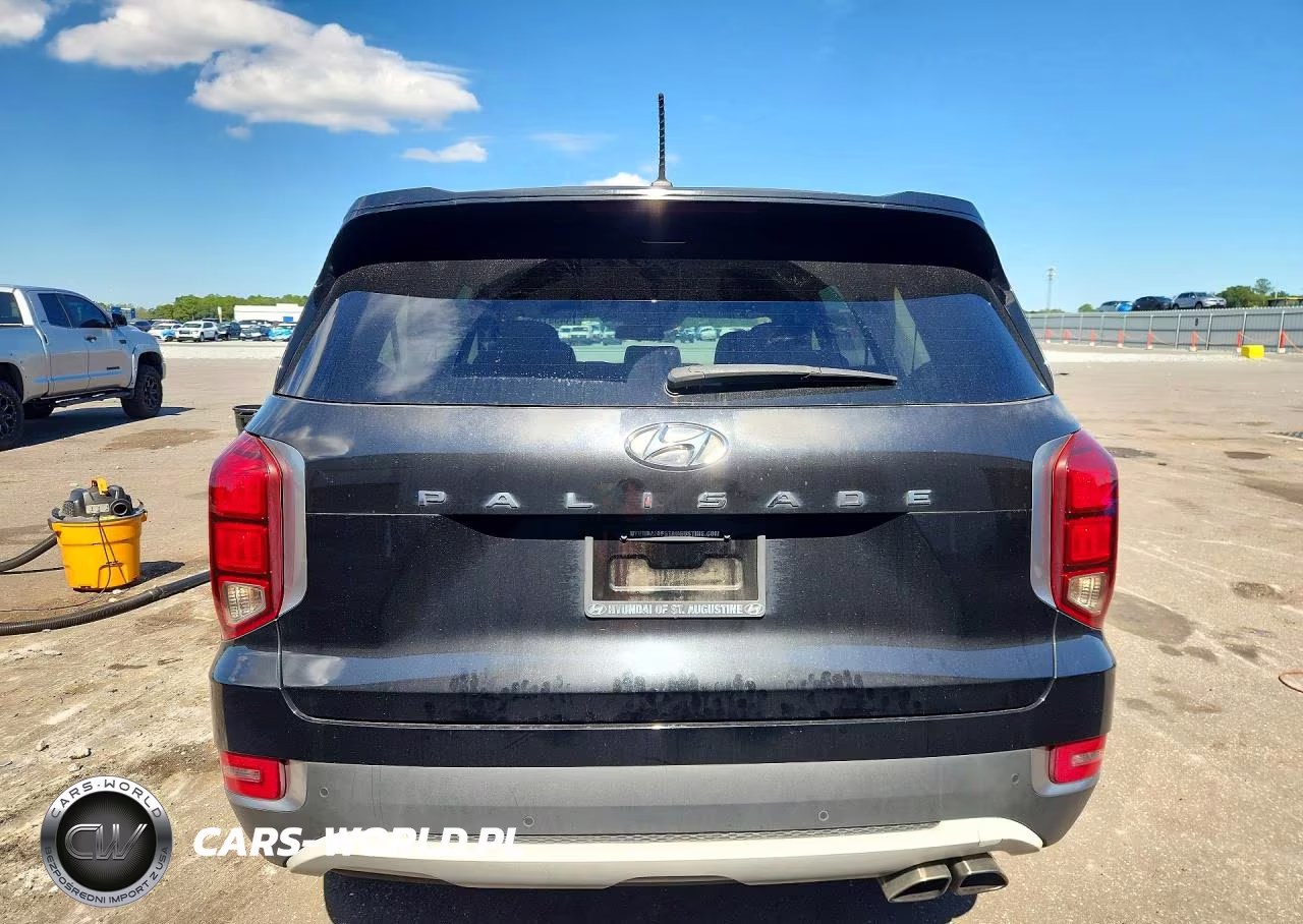 2020 Hyundai Palisade Se VIN:KM8R14HE7LU040757 - 6