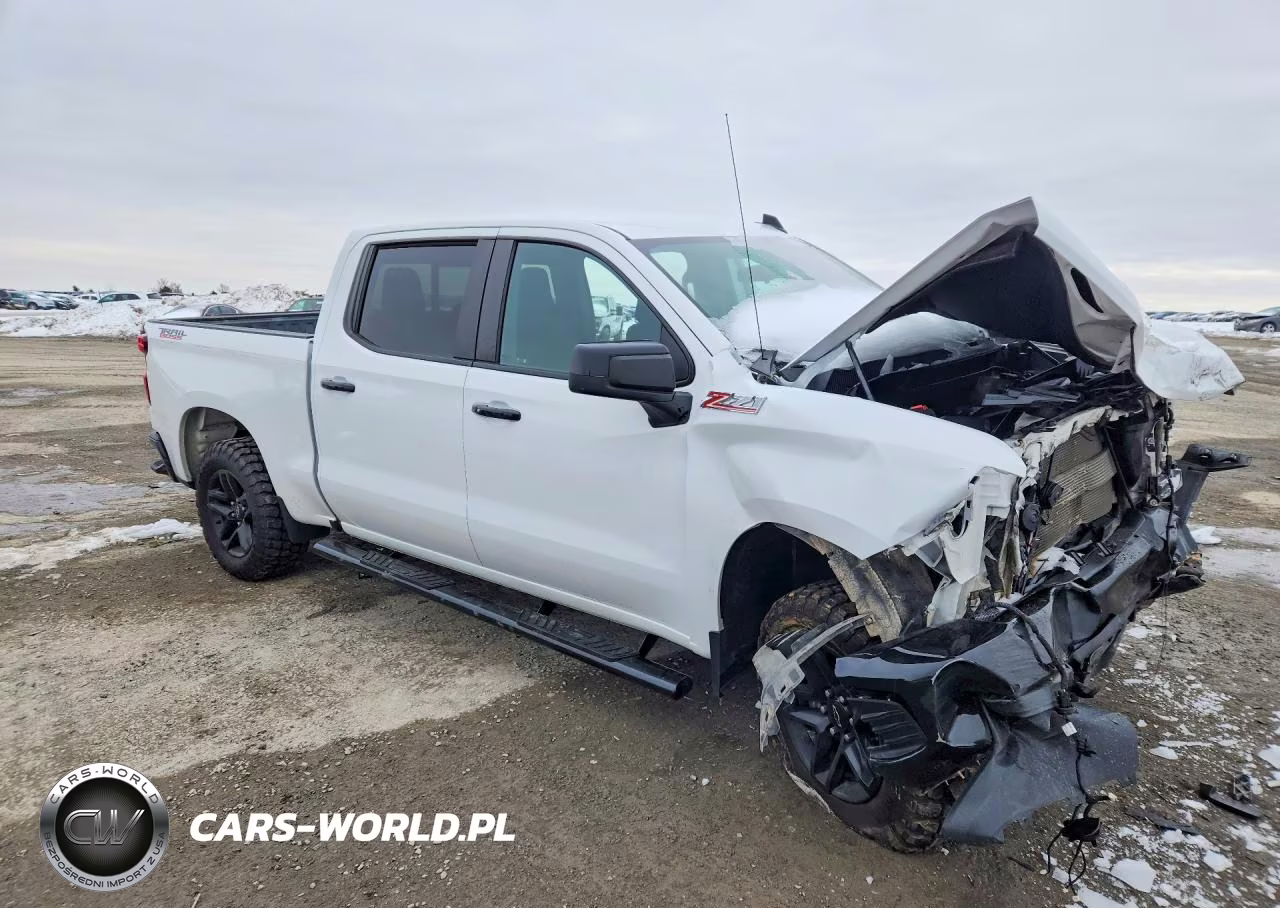 2021 Chevrolet Silverado K1500 Lt Trail Boss VIN:1GCPYFED3MZ367255 - 4