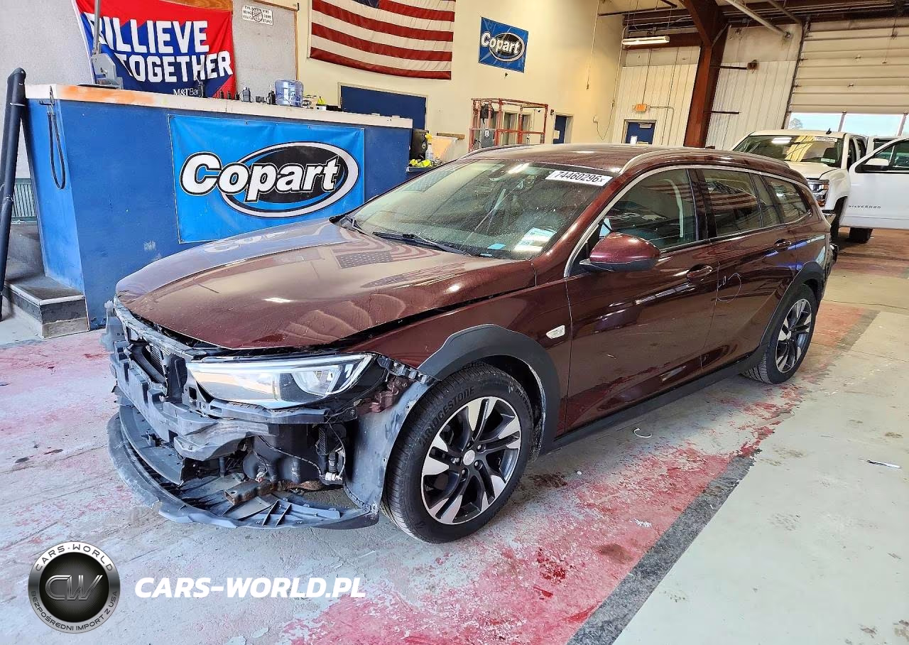 2019 Buick Regal Tourx Preferred VIN:W04GU8SX0K1006643 - 1