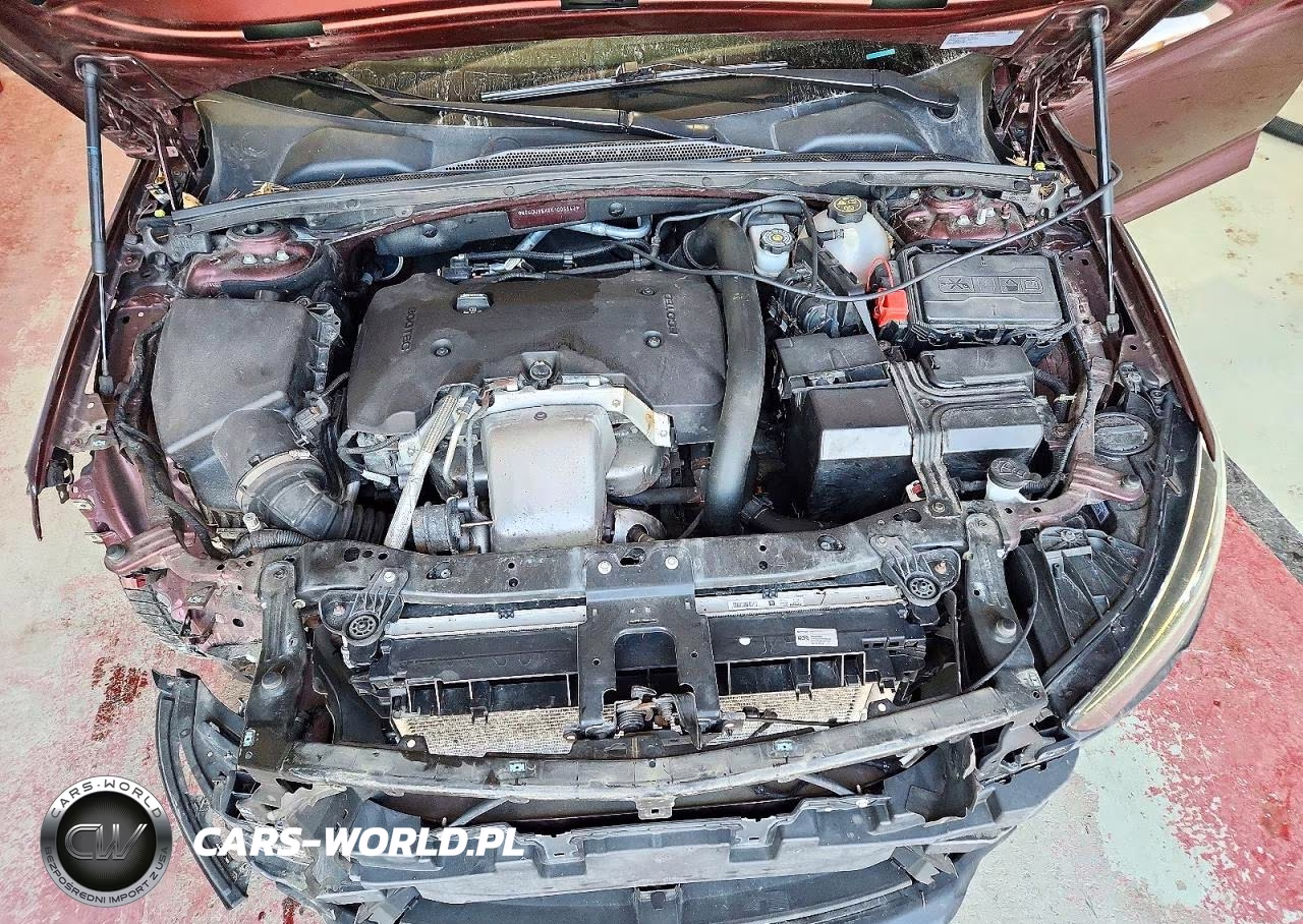 2019 Buick Regal Tourx Preferred VIN:W04GU8SX0K1006643 - 11