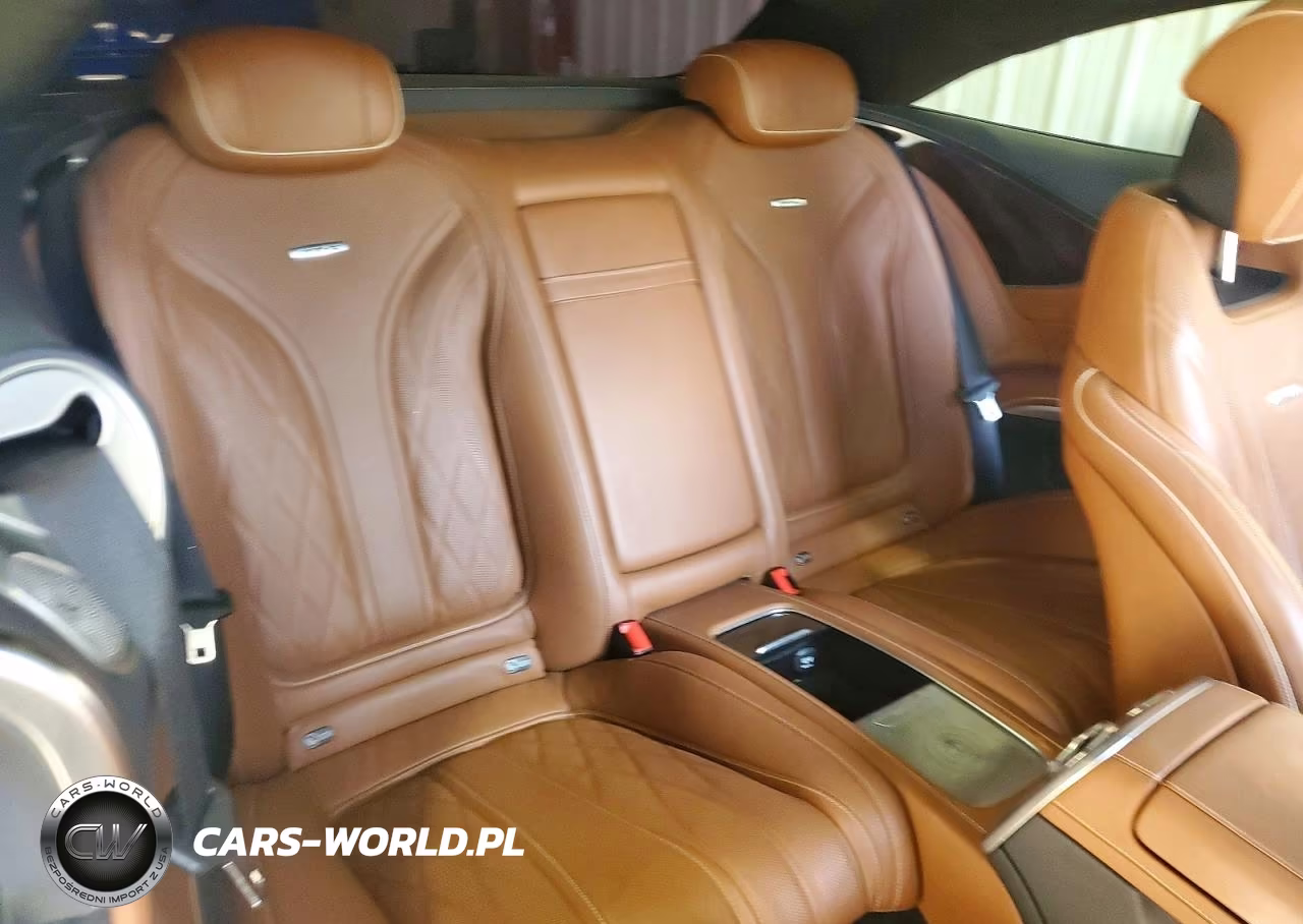 2015 Mercedes-Benz S 63 Amg VIN:WDDXJ7JB0FA007611 - 10