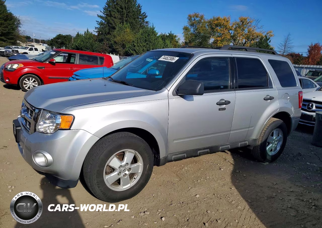 2010 Ford Escape Xlt