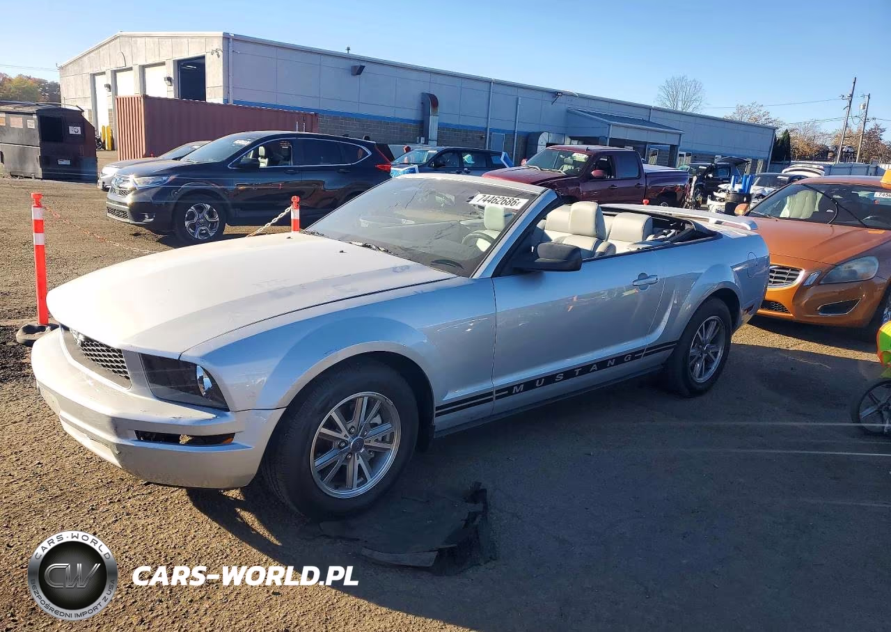 2005 Ford Mustang VIN:1ZVFT84N155231762 - 1