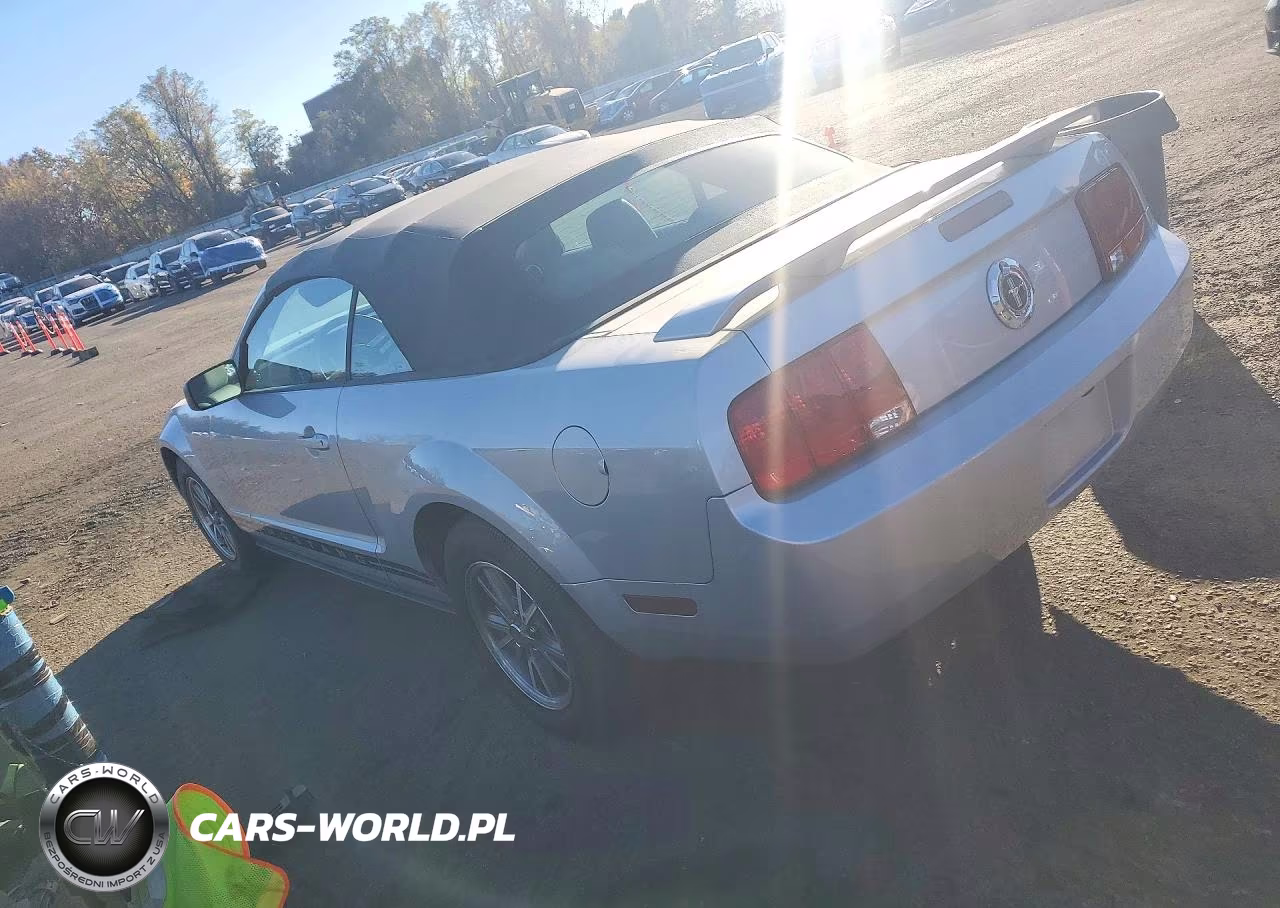 2005 Ford Mustang VIN:1ZVFT84N155231762 - 2