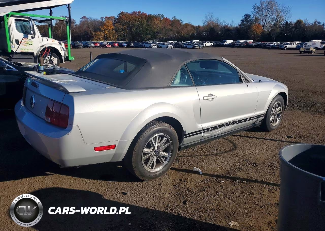 2005 Ford Mustang VIN:1ZVFT84N155231762 - 3
