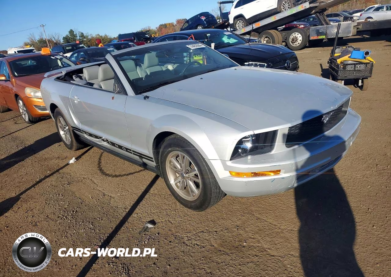 2005 Ford Mustang VIN:1ZVFT84N155231762 - 4