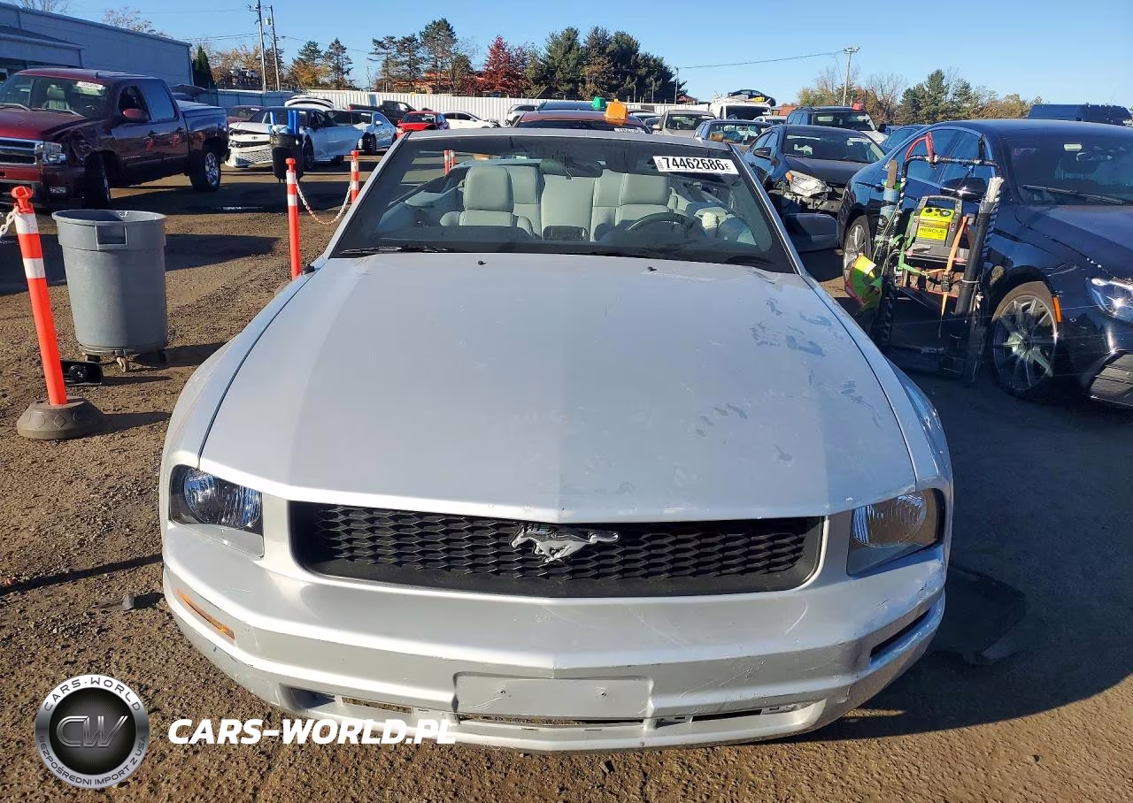 2005 Ford Mustang VIN:1ZVFT84N155231762 - 5