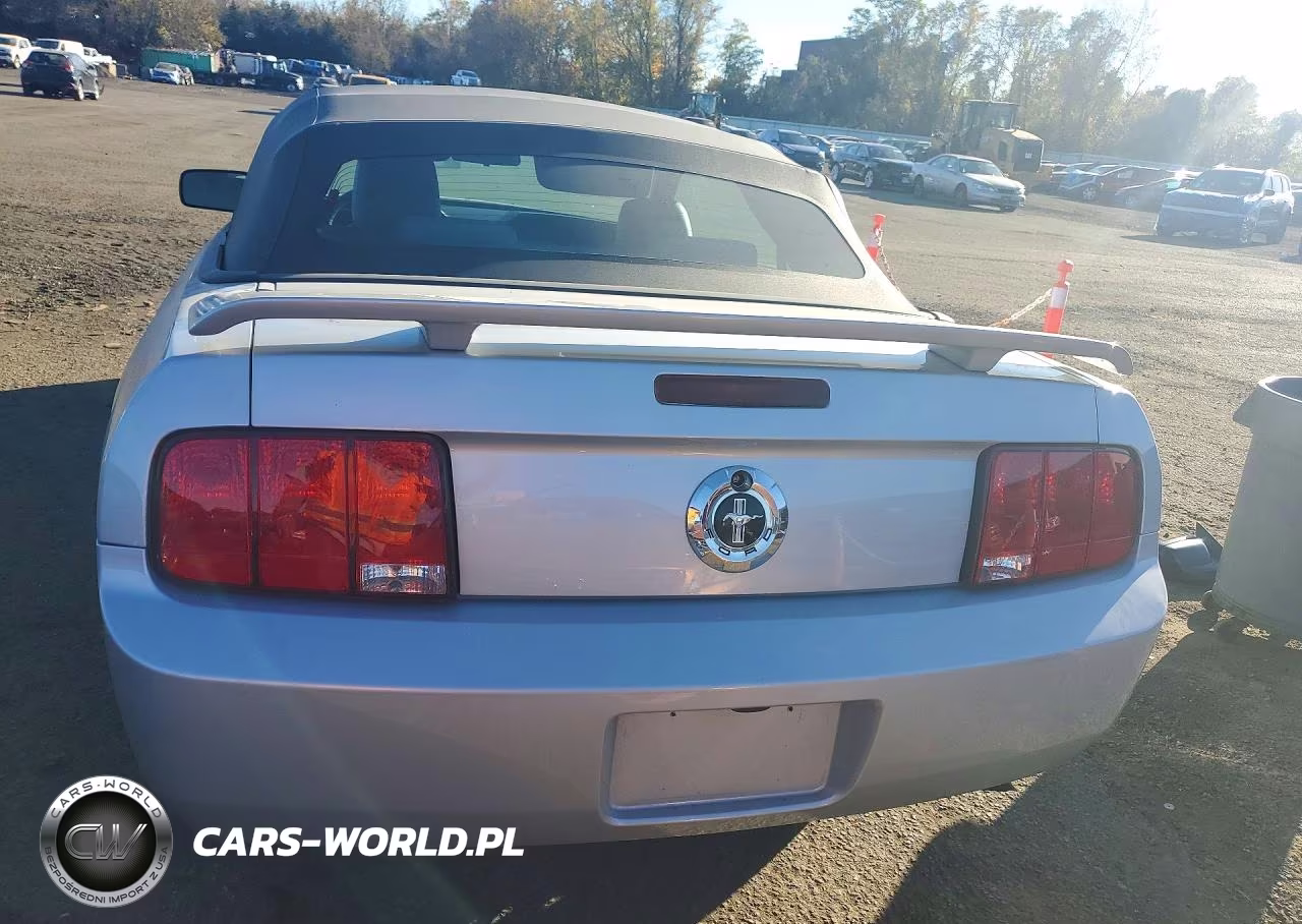 2005 Ford Mustang VIN:1ZVFT84N155231762 - 6