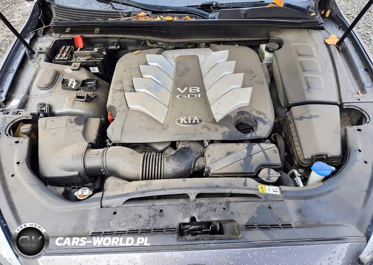 2015 Kia K900 Premium VIN:KNALU4D49F6023804 - 11
