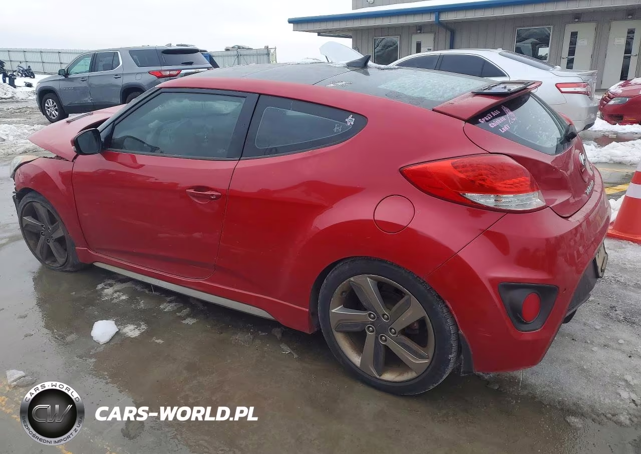 2013 Hyundai Veloster Turbo VIN:KMHTC6AE5DU118248 - 2