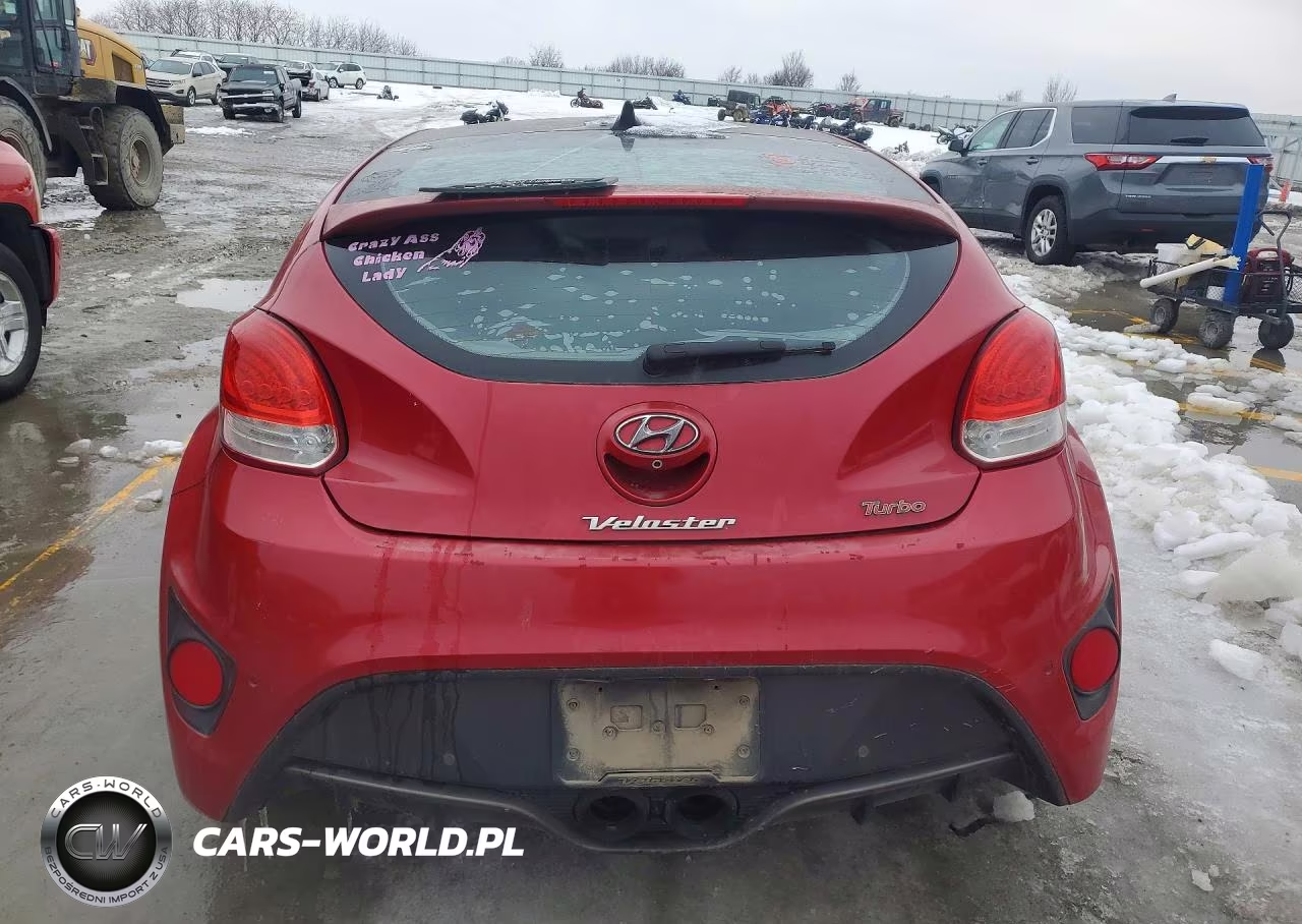 2013 Hyundai Veloster Turbo VIN:KMHTC6AE5DU118248 - 6