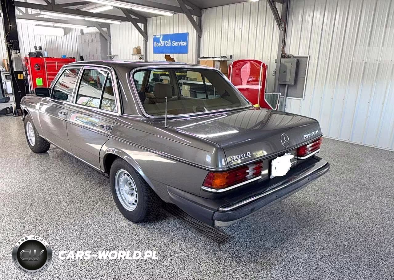 1985 Mercedes-Benz 300 Dt VIN:WDBAB33C2FA213944 - 3
