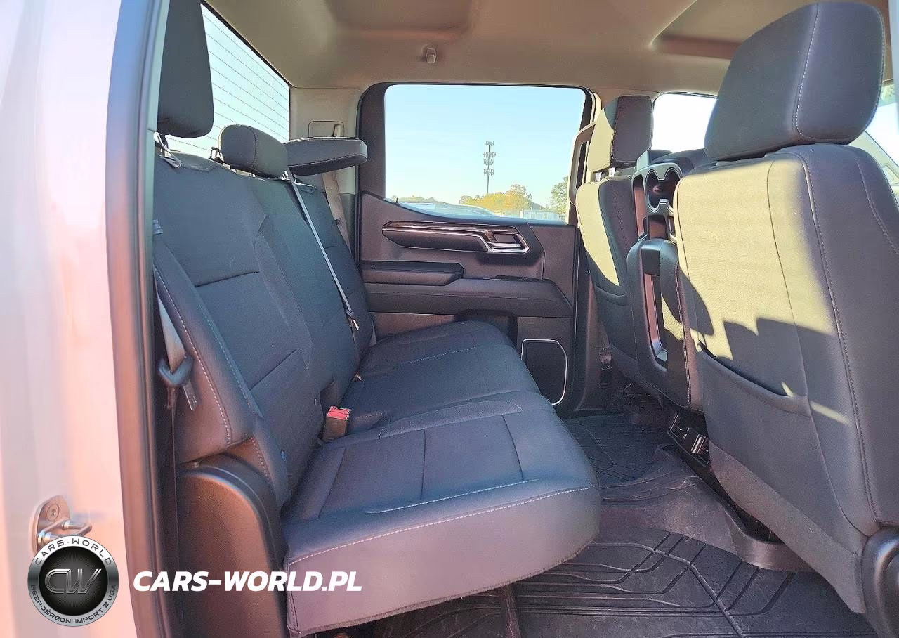 2023 Chevrolet Silverado K1500 Lt VIN:1GCUDDED9PZ301641 - 10