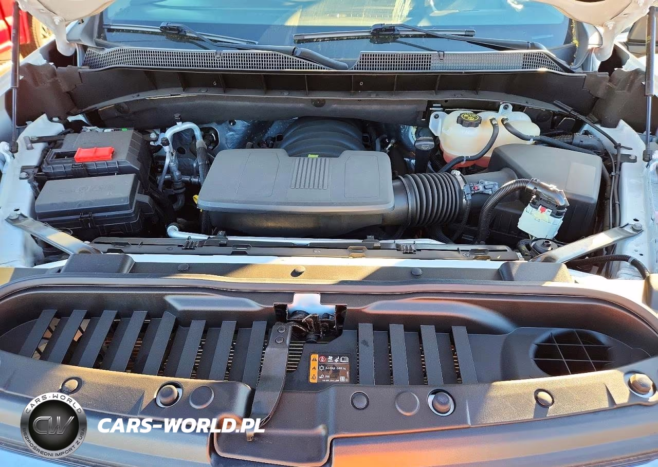 2023 Chevrolet Silverado K1500 Lt VIN:1GCUDDED9PZ301641 - 11