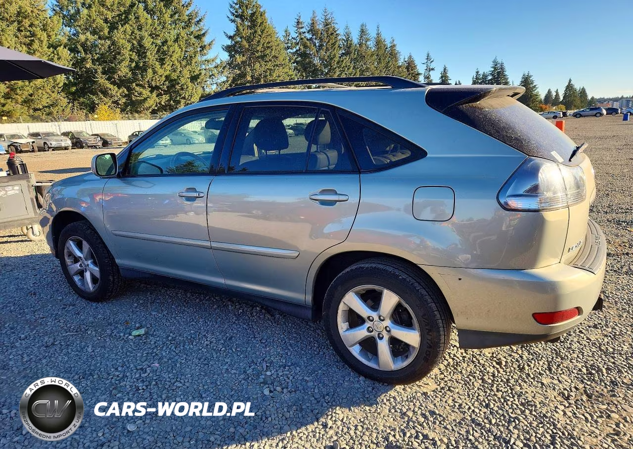 2004 Lexus Rx 330 VIN:JTJHA31U040052251 - 2