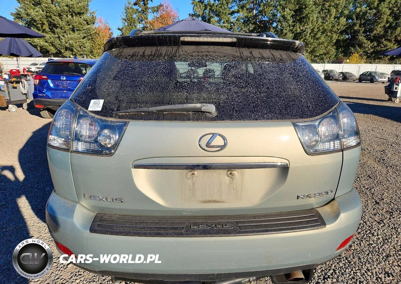2004 Lexus Rx 330 VIN:JTJHA31U040052251 - 6
