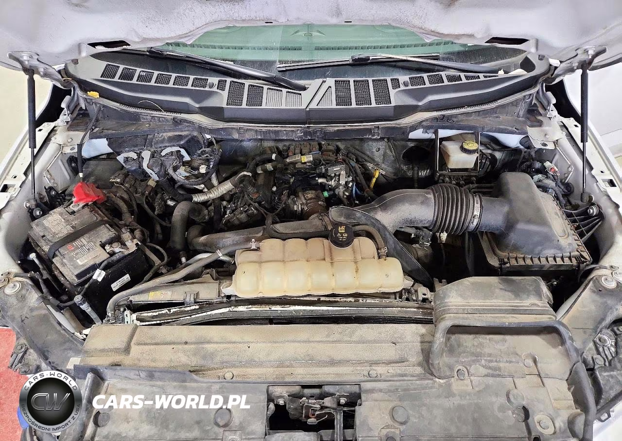2021 Ford F150 Super Cab VIN:1FTEX1CP0MKE06029 - 11