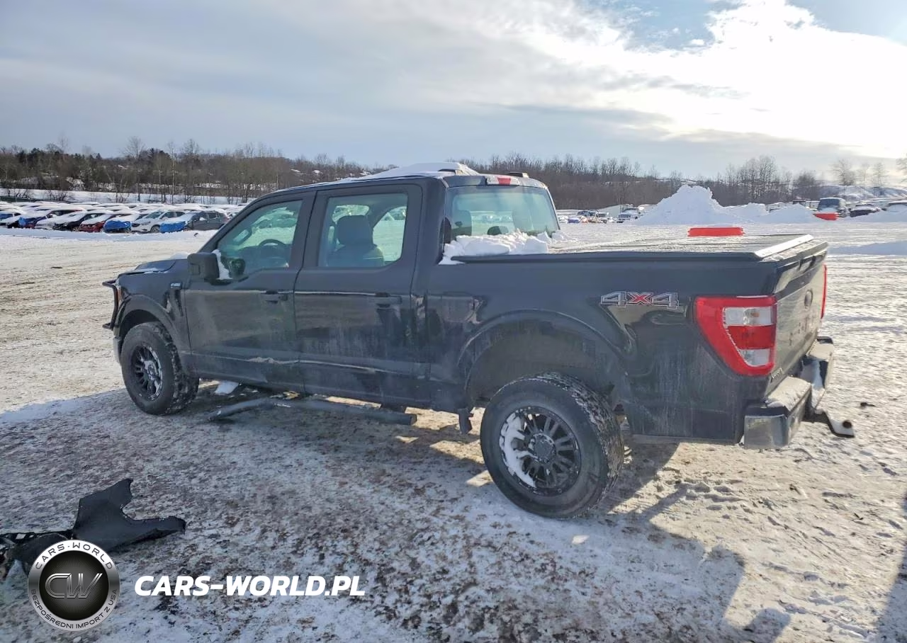 2022 Ford F150 Supercrew VIN:1FTEW1EP9NFA62310 - 2