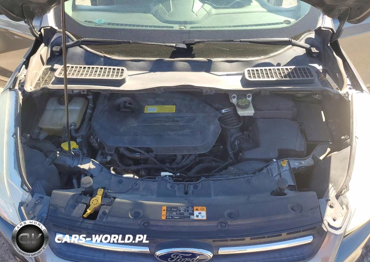 2014 Ford Escape Se VIN:1FMCU0GX9EUC92845 - 11