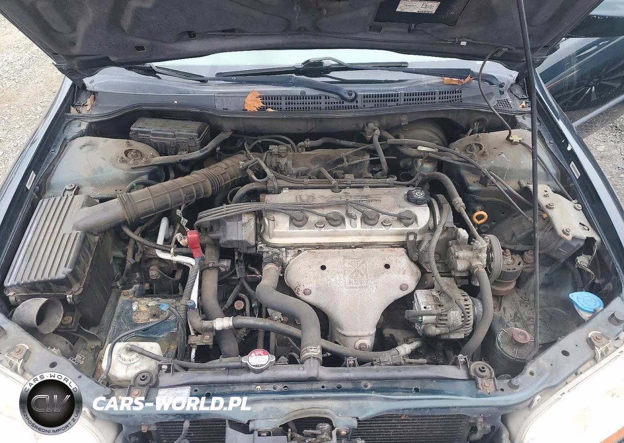 2000 Honda Accord Lx VIN:JHMCG5649YC008882 - 11