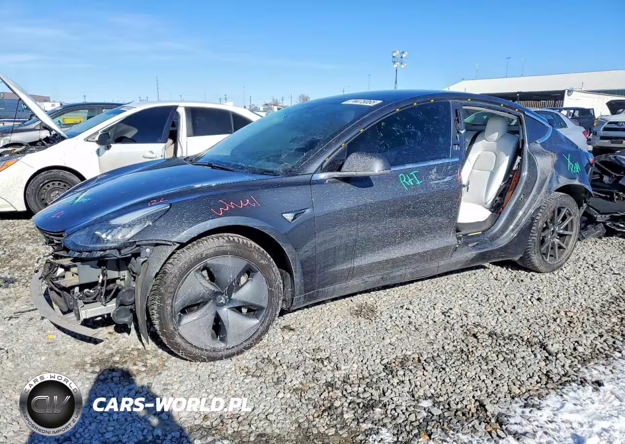 2019 Tesla Model 3