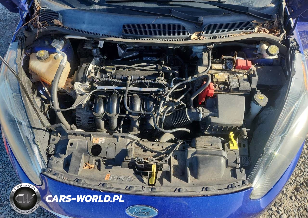 2015 Ford Fiesta Se VIN:3FADP4BJ3FM215832 - 11