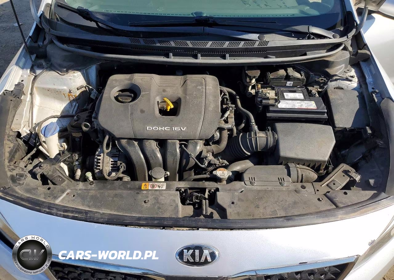 2017 Kia Forte Lx VIN:3KPFK4A71HE023782 - 11