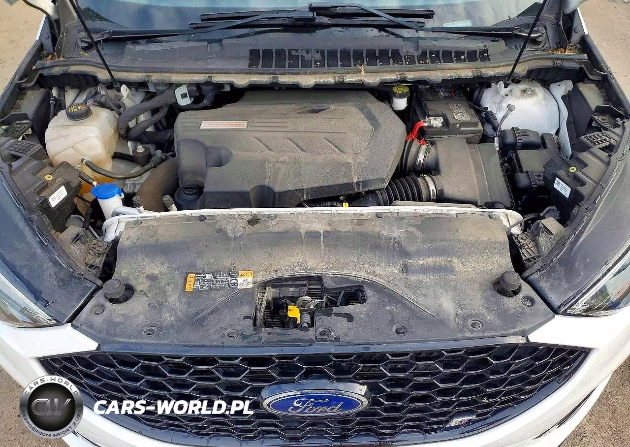 2020 Ford Edge St VIN:2FMPK4AP4LBB52602 - 12