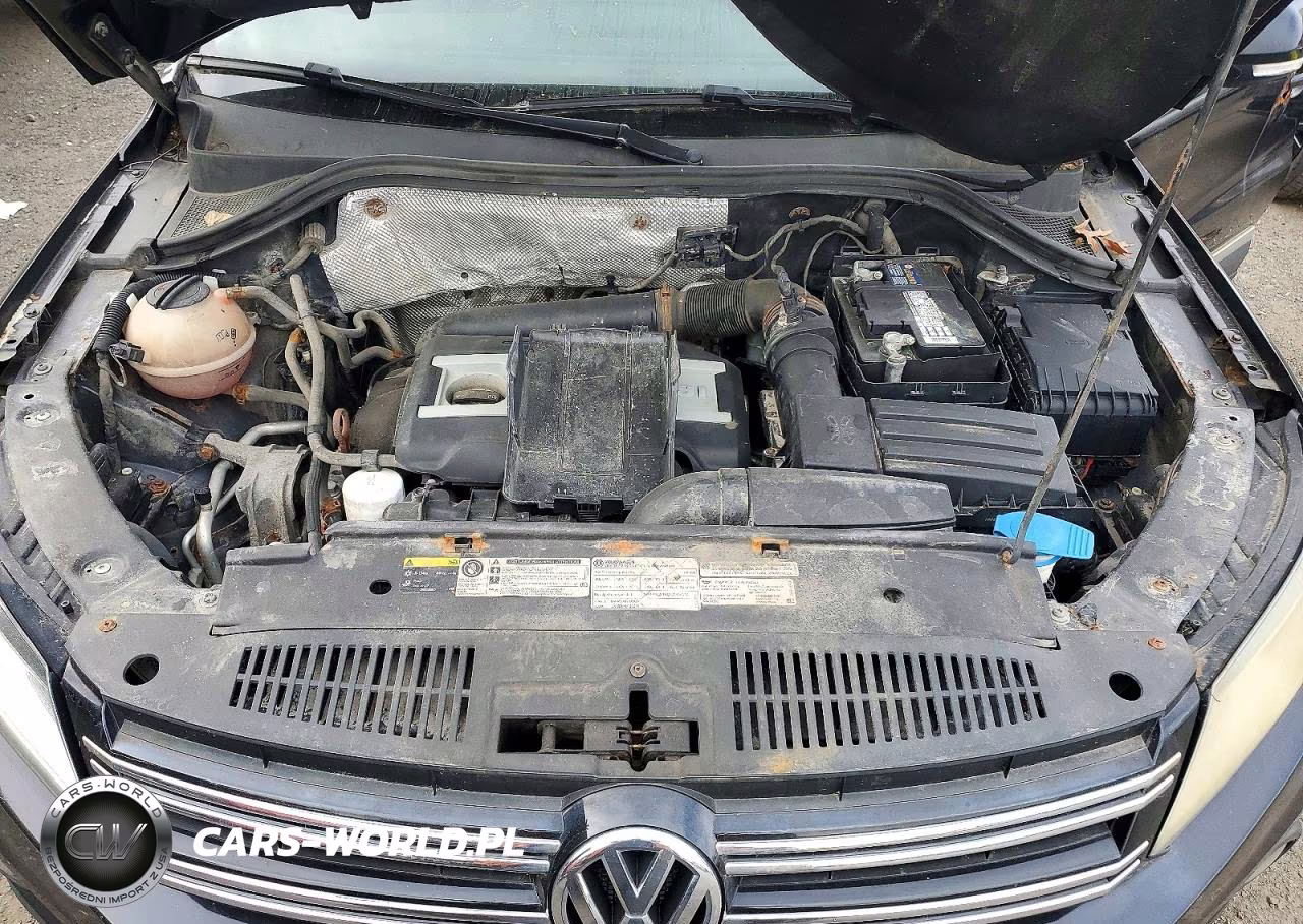 2013 Volkswagen Tiguan S VIN:WVGBV3AX5DW562482 - 12