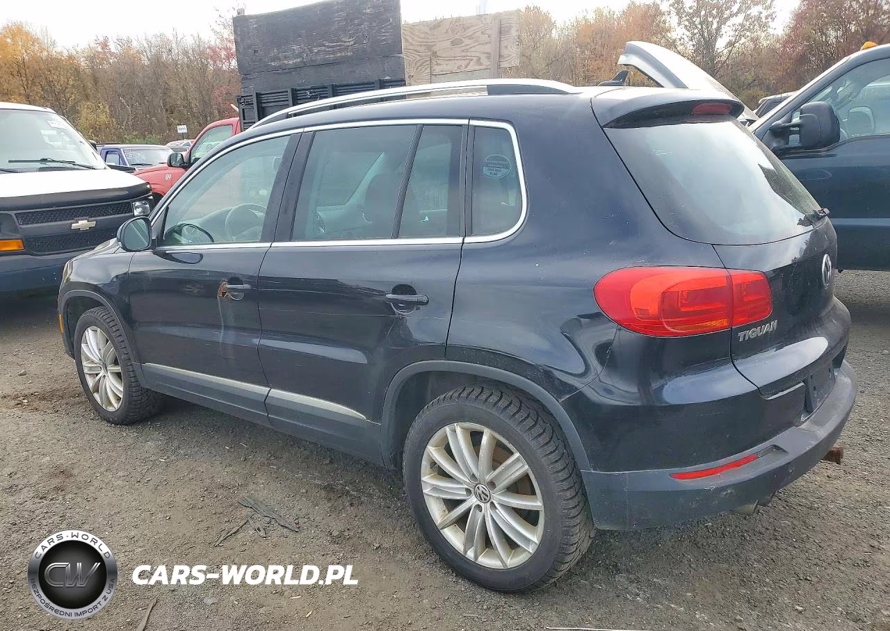 2013 Volkswagen Tiguan S VIN:WVGBV3AX5DW562482 - 2