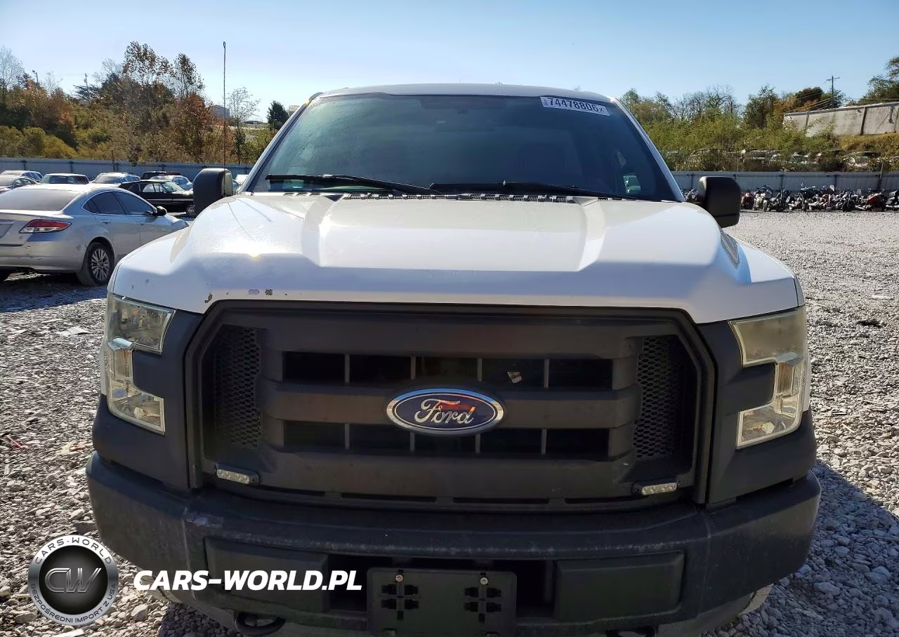 2015 Ford F150 VIN:1FTMF1EP6FFB25876 - 5