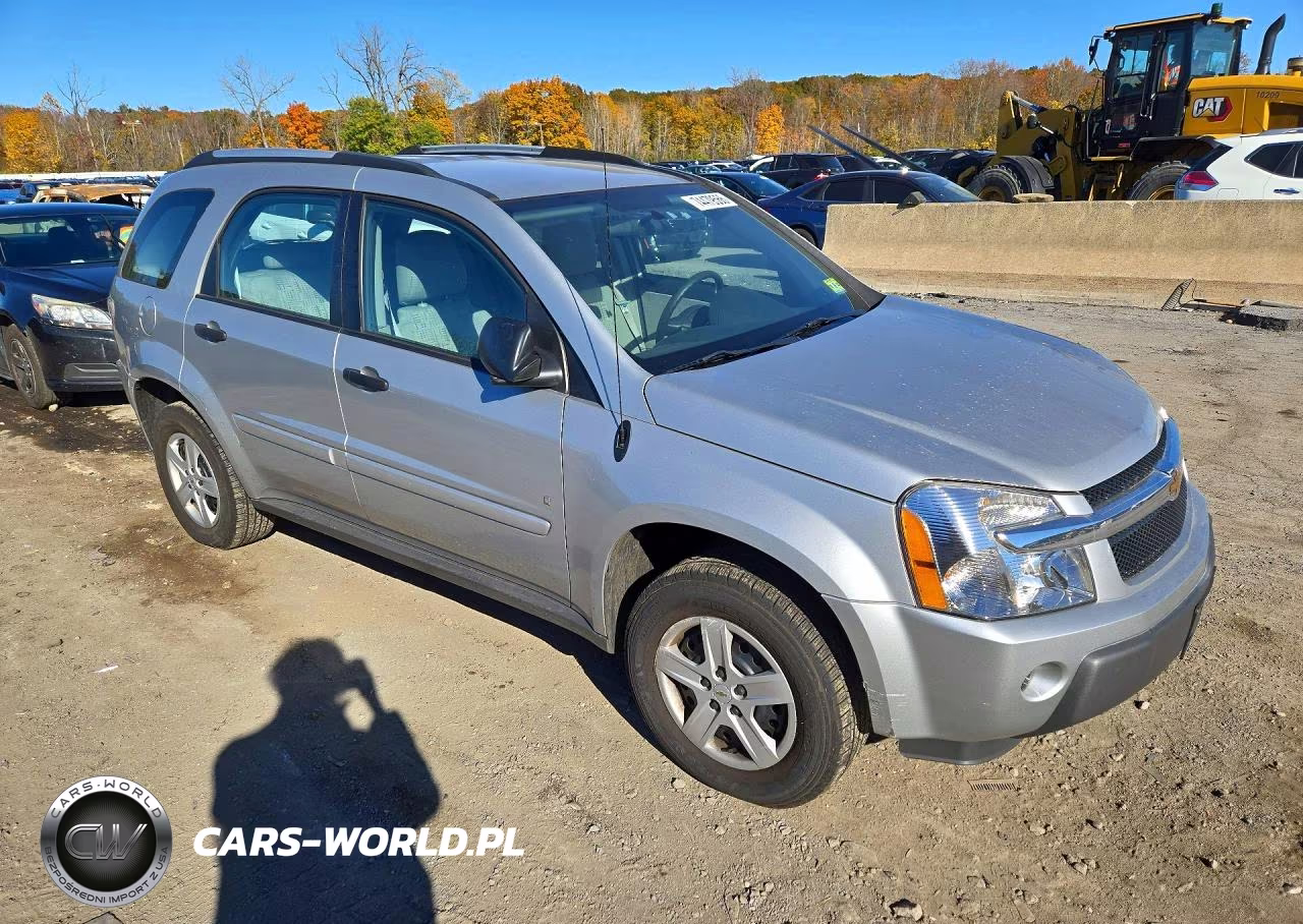 2006 Chevrolet Equinox VIN:2CNDL13F466015109 - 4