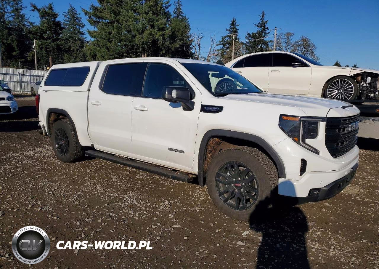 2025 GMC Sierra K1500 Elevation VIN:3GTUUCEDXSG183229 - 4