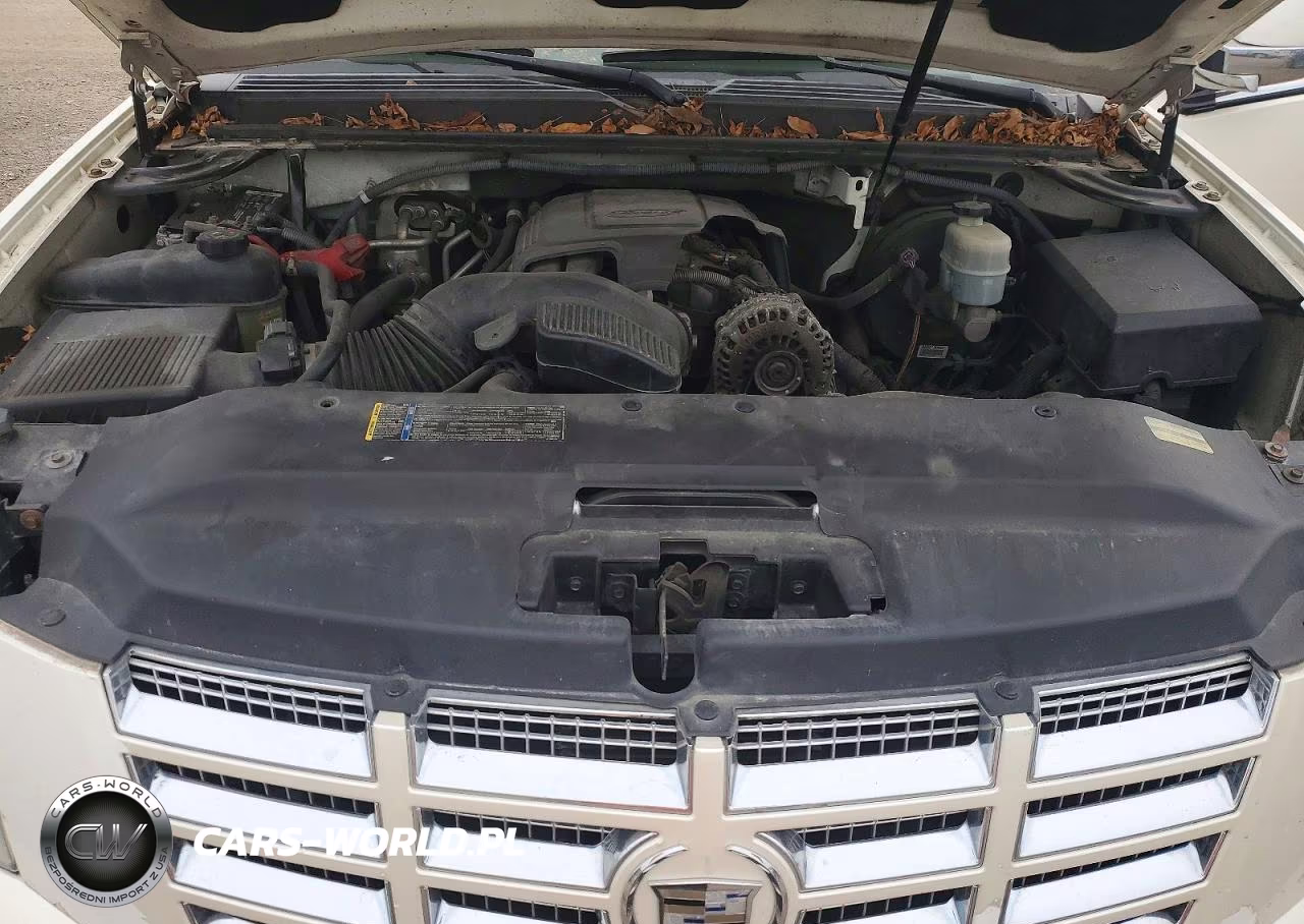 2010 Cadillac Escalade Esv Luxury VIN:1GYUKHEF8AR136875 - 12