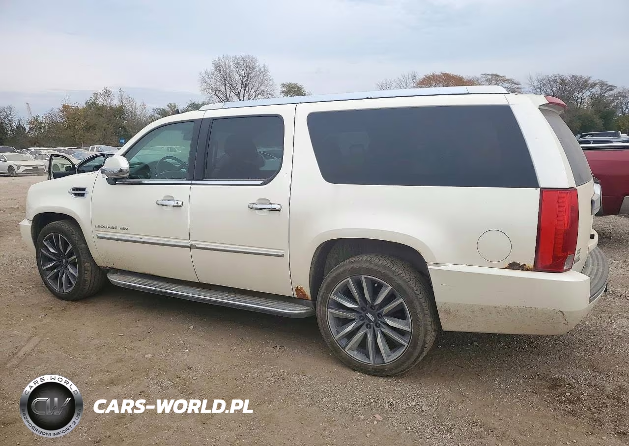 2010 Cadillac Escalade Esv Luxury VIN:1GYUKHEF8AR136875 - 2